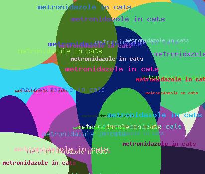 METRONIDAZOLE IN CATS